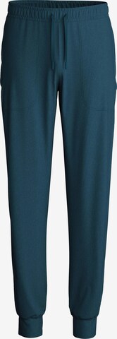 CALIDA Pyjamahose 'DEEPSLEEPWEAR Warming' in Grün: Vorderseite