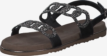 MARCO TOZZI Sandals '28121' in Black: front