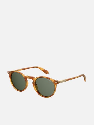 Polaroid Sunglasses in Brown