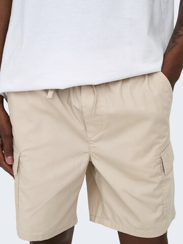 Only & Sons Regular Cargo Pants 'ONSKAL' in Grey