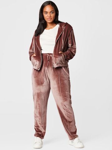 Regular Pantalon 'Rosina' Guido Maria Kretschmer Curvy en marron