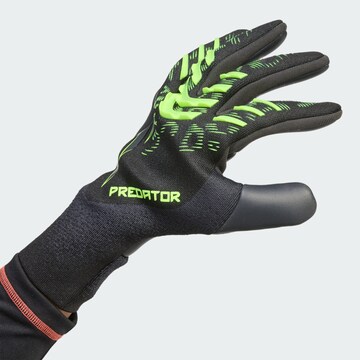 ADIDAS PERFORMANCE Sporthandschoenen 'Predator Pro' in Zwart