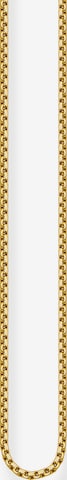 Thomas Sabo Necklace 'Venezia' in Gold: front