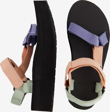 TEVA Sandals in Mixed colors