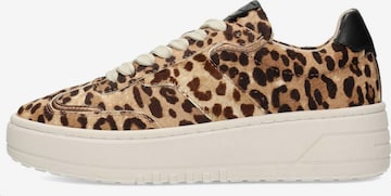 Baskets basses 'ARELIE' Haboob en beige : devant