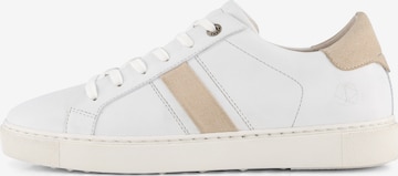 NoGRZ Sneakers in White