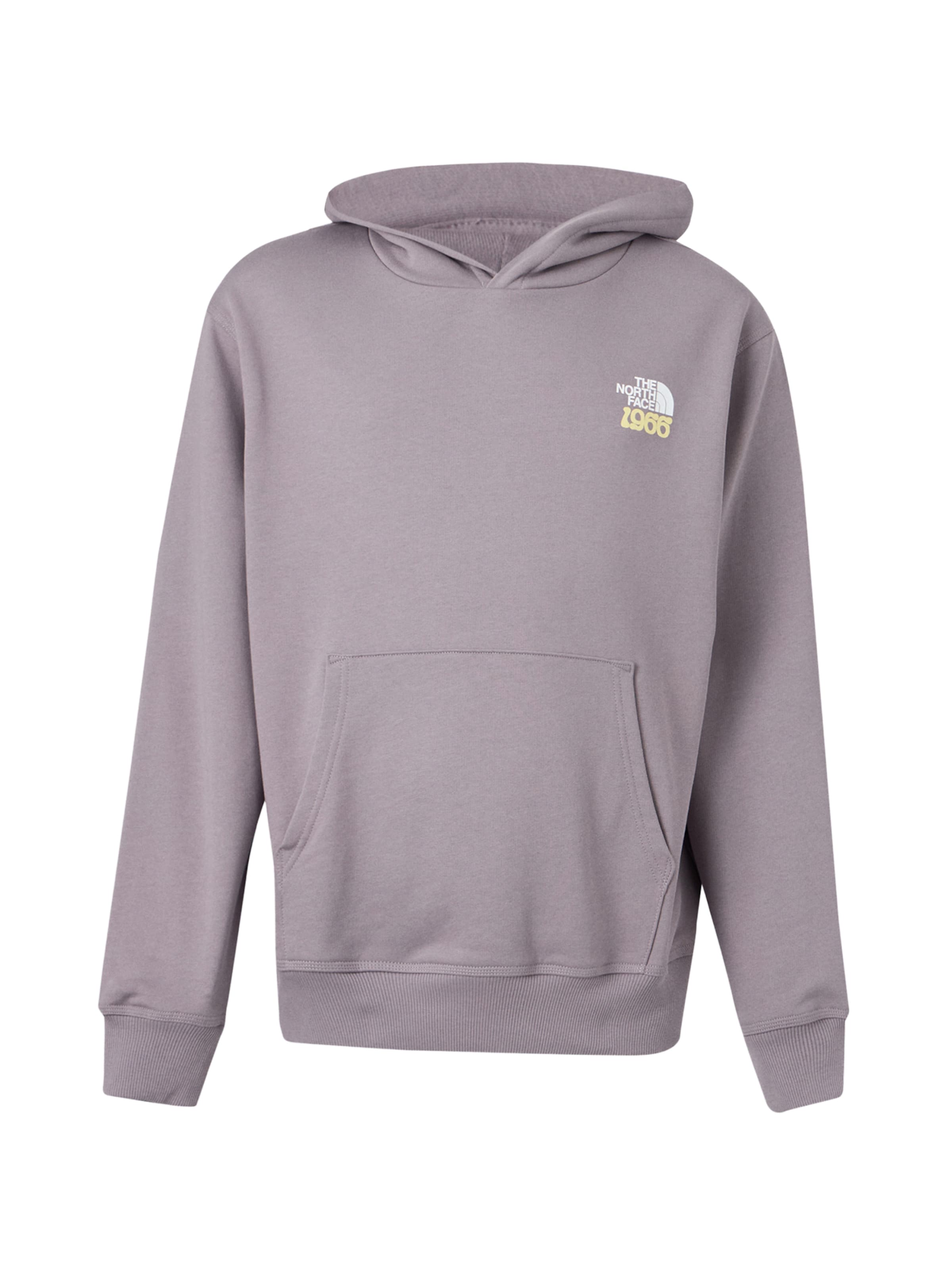THE NORTH FACE - Sudadera '1966 MOTION' en lila: frente