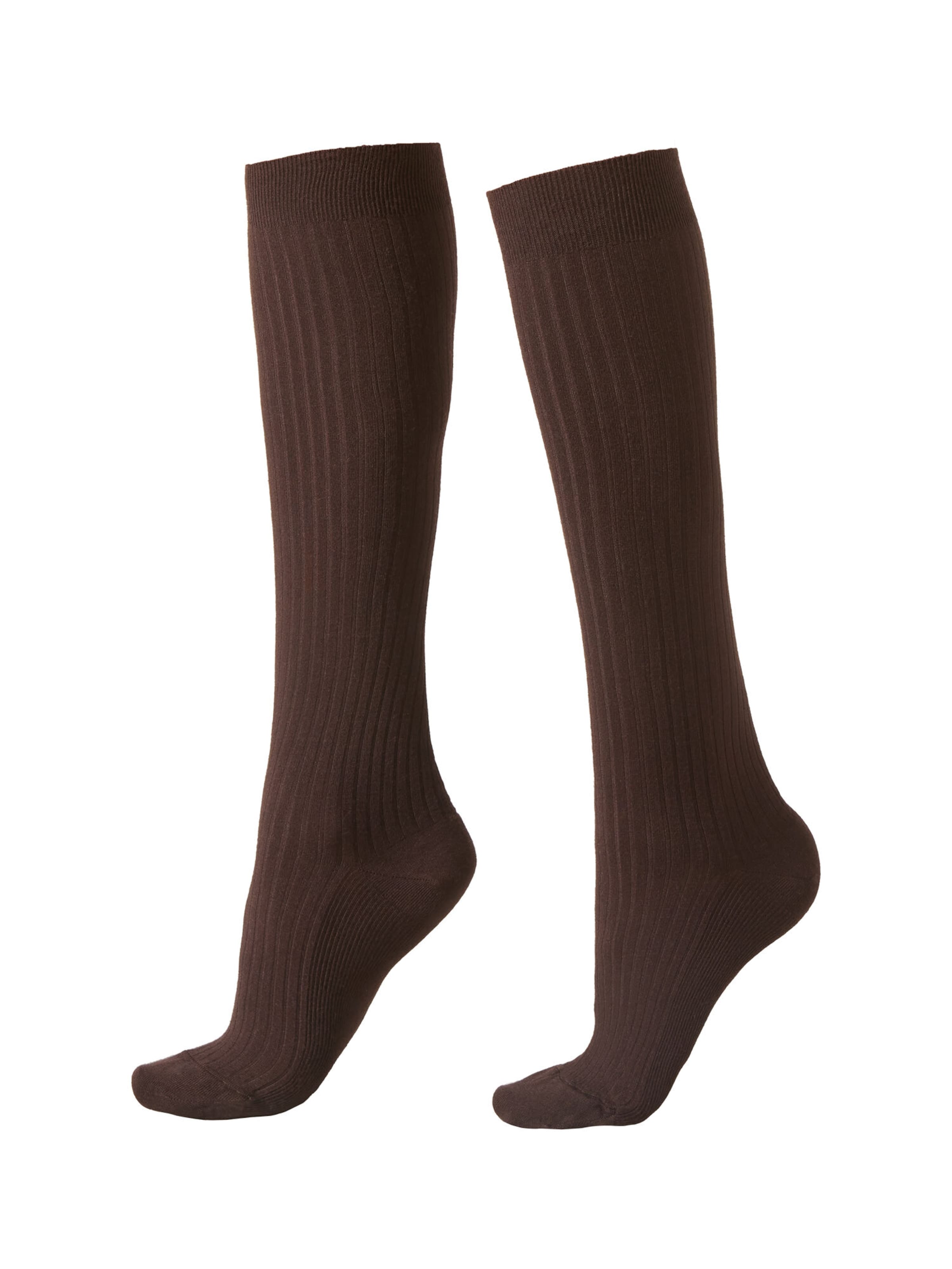 CALZEDONIA Socken in Braun: Vorderseite