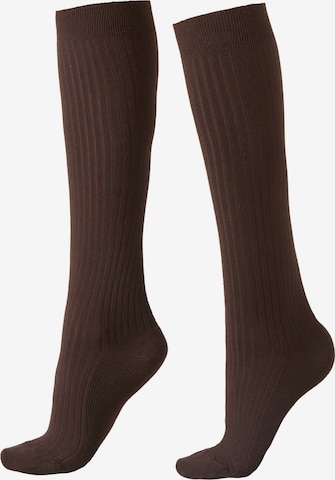 CALZEDONIA Socken in Braun: Vorderseite