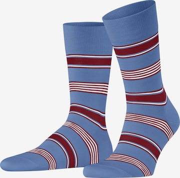 FALKE Socken 'Marina Stripe' in Blau: Vorderseite