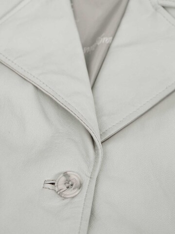Mauritius - Chaqueta de entretiempo 'MWLeoniz' en gris