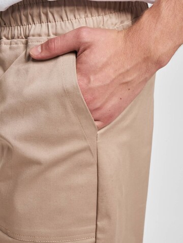 DEF Regular Hose in Beige