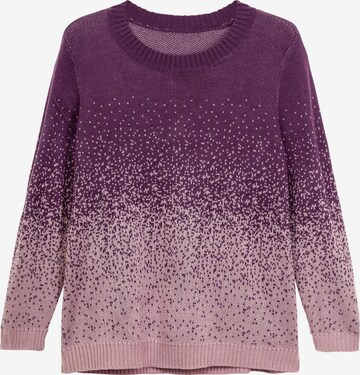 SHEEGO Sweater in Purple: front