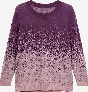 SHEEGO Sweater in Purple: front
