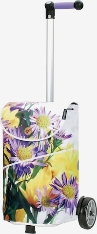 Trolley 'Unus Shopper MIX A10 ' di Andersen Shopper in colori misti: frontale