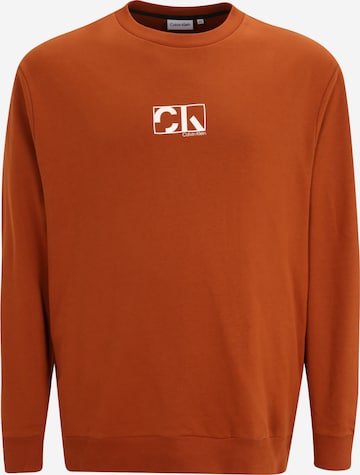 Calvin Klein Big & Tall Sweatshirt in Brown: front