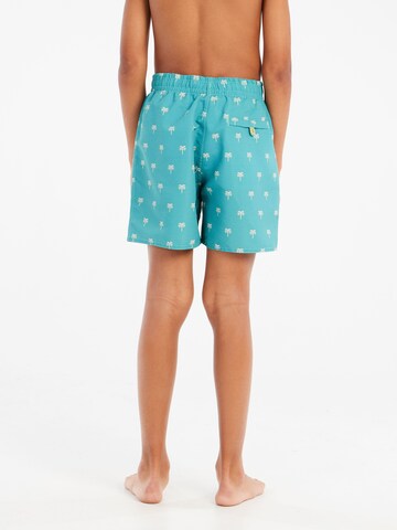 PROTEST Badeshorts 'PRTSteven JR' in Grün