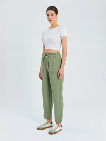 MixRay Tapered Hose in Grün