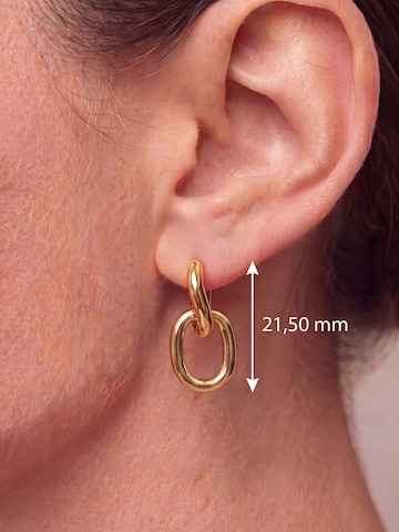 Jobo Earrings in Gold