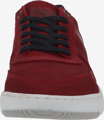 BULLBOXER Sneakers laag in Rood