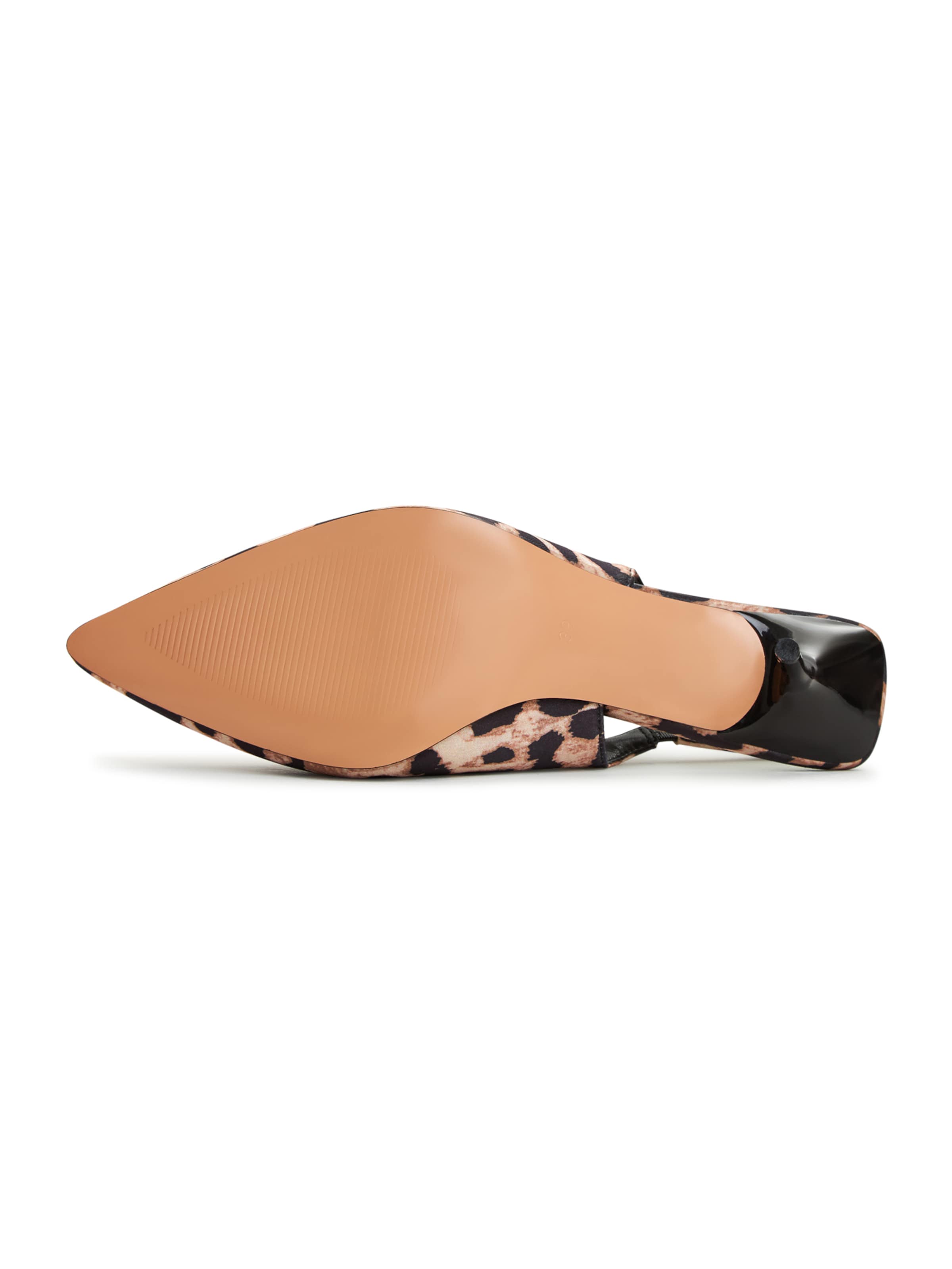 CESARE GASPARI Pumps in Bruin