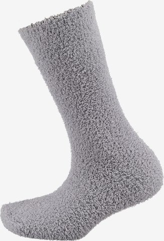 camano Socks in Grey