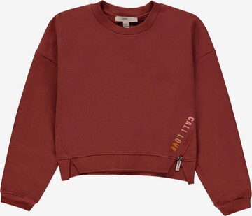 ESPRIT Sweatshirt in Brown: front