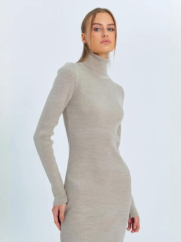 Abito in maglia 'Strickkleider' di MixRay in grigio