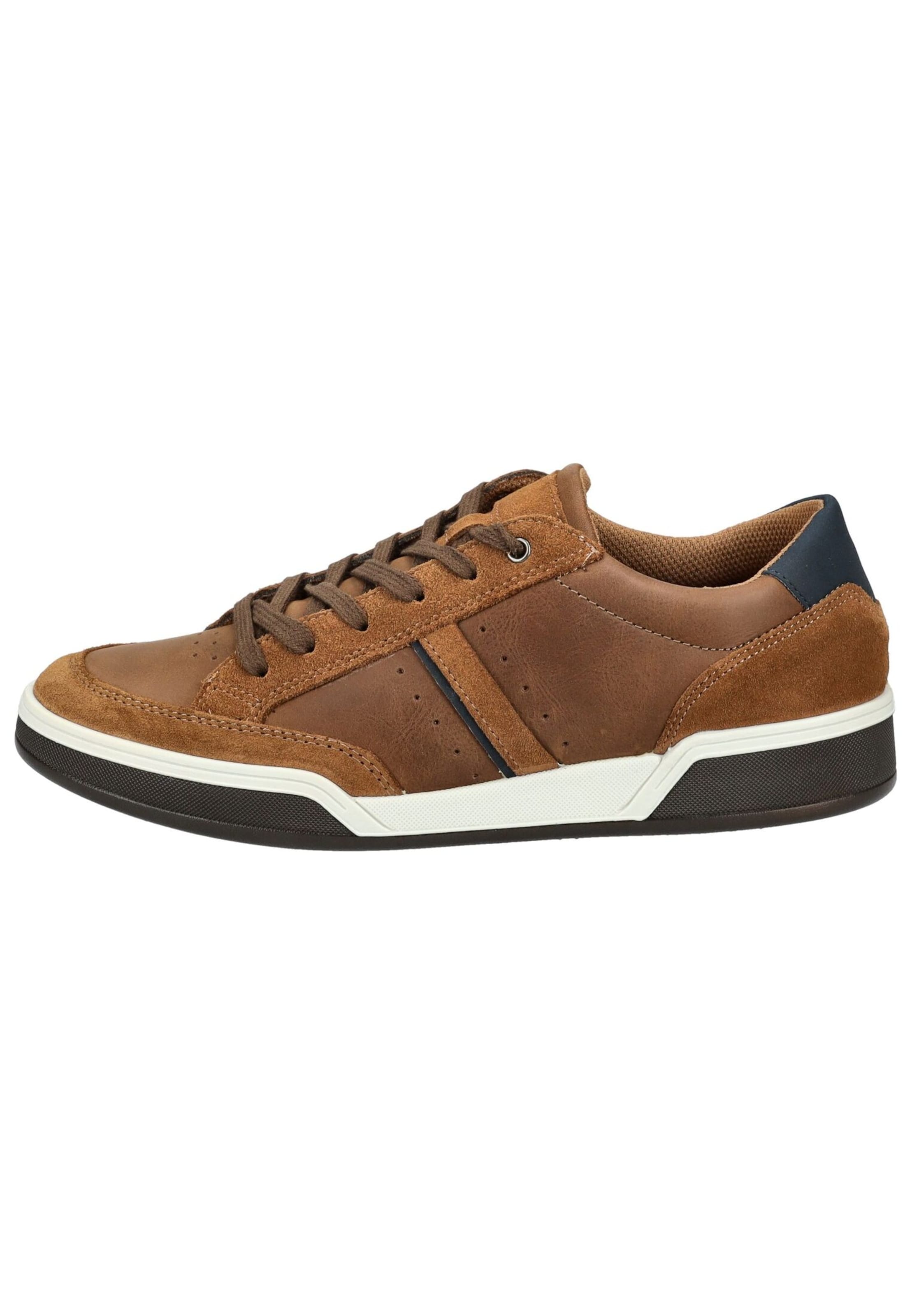 IMAC Platform trainers in Brown