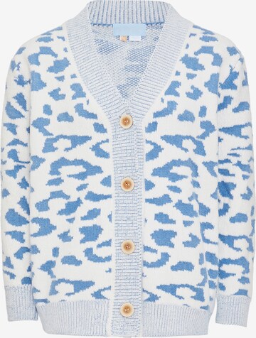 Poomi Gebreid vest in Blauw: voorkant