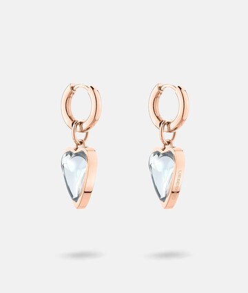 Liebeskind Berlin Earrings in Gold: front