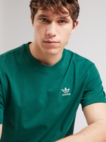 ADIDAS ORIGINALS Μπλουζάκι 'Adicolor Classics Back+Front Trefoil' σε πράσινο