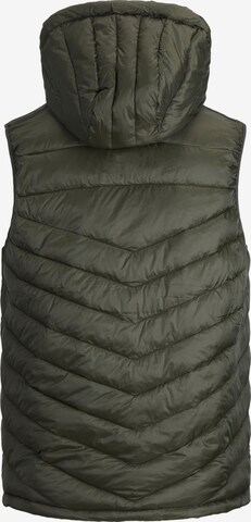 JACK & JONES Bodywarmer 'Hero' in Groen