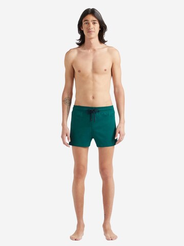 Vilebrequin - Bermudas en verde