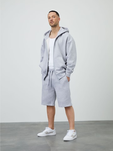 DAN FOX APPAREL Regular Trousers 'Tino' in Grey