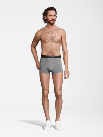 AÉROPOSTALE Boxershorts in Grau