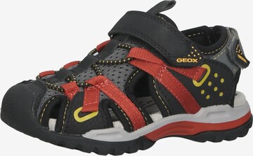 GEOX Sandalen in Rood: voorkant