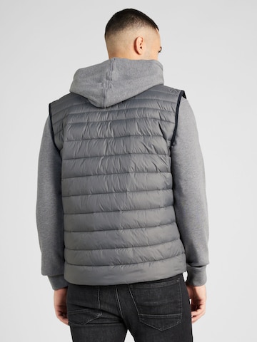 BOSS Bodywarmer 'Darolan' in Grijs