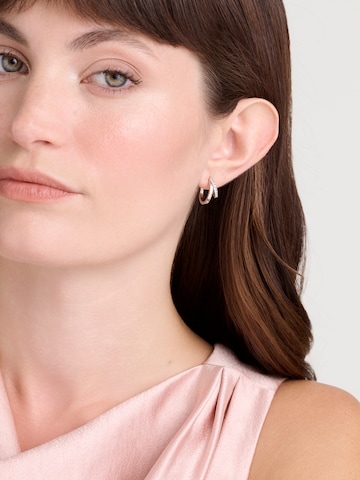 sidabrinė Ted Baker Auskarai 'HELIAS'
