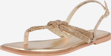 River Island T-Bar Sandals 'GLADIATOR' in Gold: front