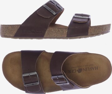 HAFLINGER Sandals & High-Heeled Sandals in 38 in Brown: front