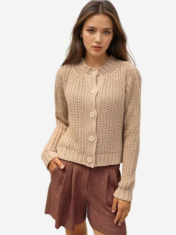 Hiccup Gebreid vest in Beige: voorkant