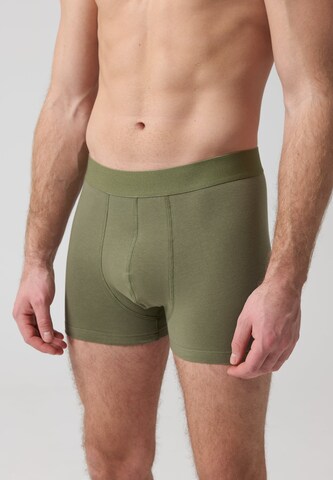 SNOCKS Boxer shorts in Green: front