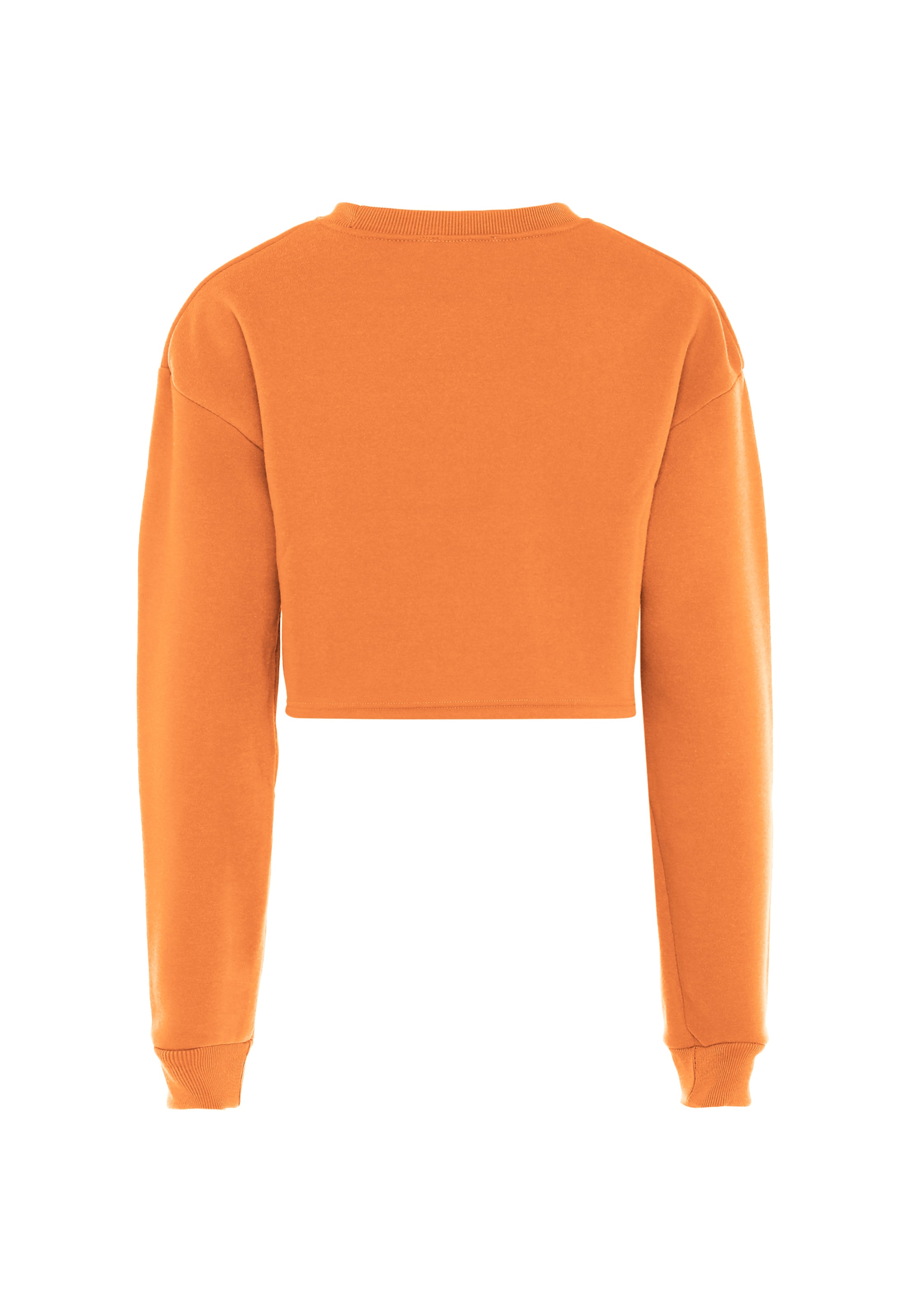 hoona Sweatshirt in Orange