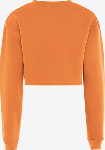 UCY Sweatshirt in Oranje