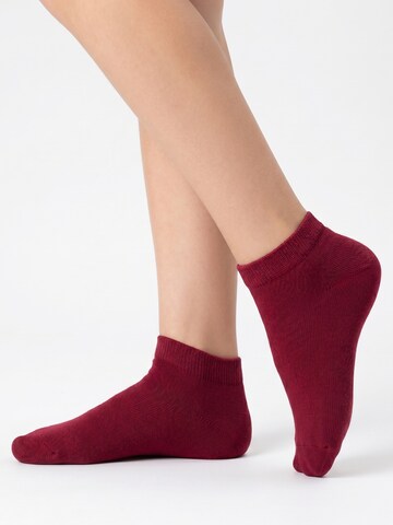 footstar Socken 'EVERYDAY! Kinder'‌ in Lila