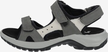 IMAC Sandals in Grey