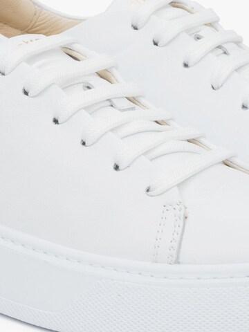 Estro Platform trainers 'Estro ER00115648' in White