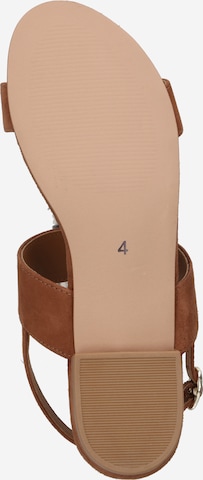 Dorothy Perkins Strap sandal 'Bronya' in Brown