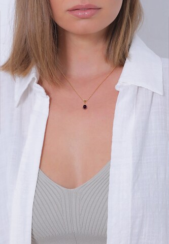 ELLI PREMIUM Necklace 'Geburtsstein Februar' in Gold: front